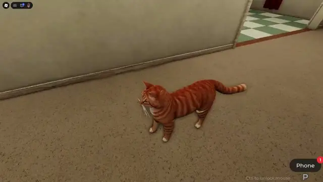 7 Days Cat Sitting Codes: Working Rewards and How to Redeem